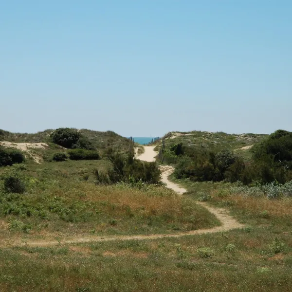camping-antioche-le-bois-plage-en-r-eucmp