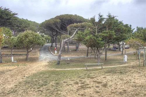 camping-antioche-le-bois-plage-en-r-j7wjk