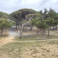 camping-antioche-le-bois-plage-en-r-j7wjk