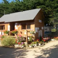Les Ormeaux