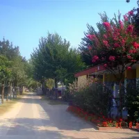 camping-parco-capraro-lido-di-jesolo-1gfcq