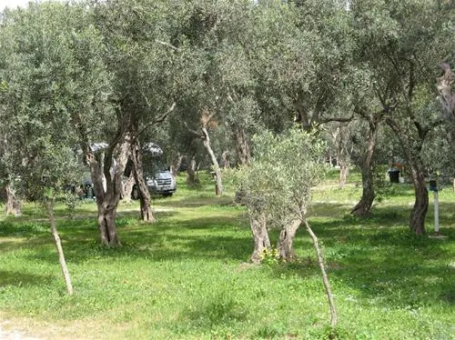 campeggio-la-playa-isola-delle-femmine-bfh5c