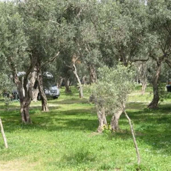 campeggio-la-playa-isola-delle-femmine-bfh5c