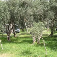 campeggio-la-playa-isola-delle-femmine-bfh5c