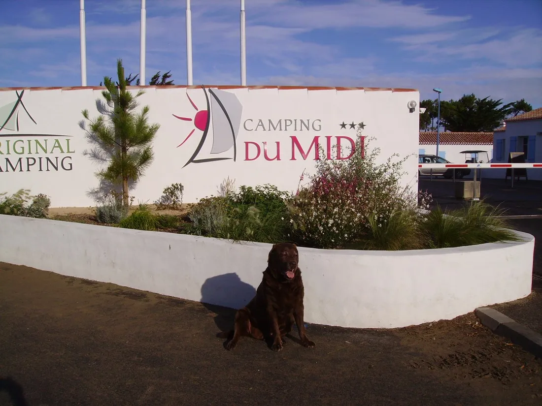 domaine-le-midi-barbatre-rimt0