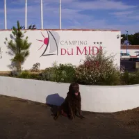 domaine-le-midi-barbatre-rimt0