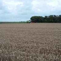 De Hoek