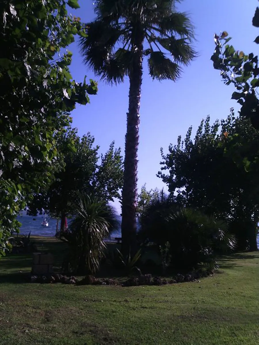 campeggio-smeraldo-trevignano-romano-zosbz