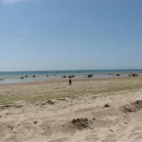 camping-municipal-le-clos-marin-pirou-e13qj