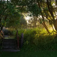 camping-oderbrcke-hattorf-mhxyt