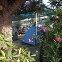 campeggio-la-baia-giovinazzo-mnfab