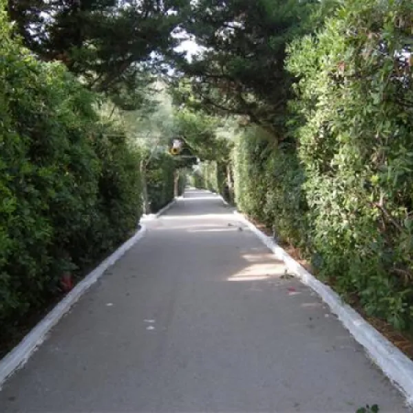 campeggio-la-baia-giovinazzo-wsdom