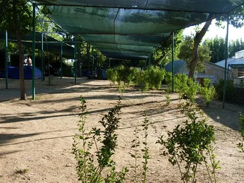 camping-bungalow-park-arco-iris-villaviciosa-de-odn-fzmnb