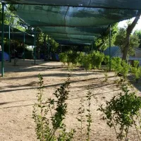 camping-bungalow-park-arco-iris-villaviciosa-de-odn-fzmnb