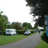camping-de-bregman-schoorl-eedu9