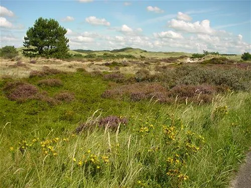 camping-de-bregman-schoorl-hjxng