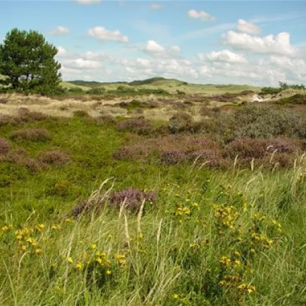 camping-de-bregman-schoorl-hjxng