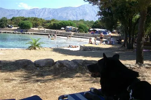 camping-mlaska-suuraj-otok-hvar-nv8dd