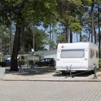 Parque Verde