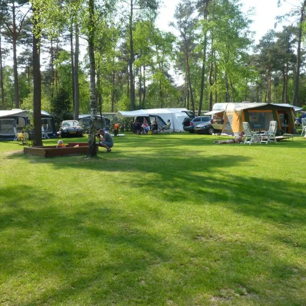 camping-de-rimboe-lunteren-and7q