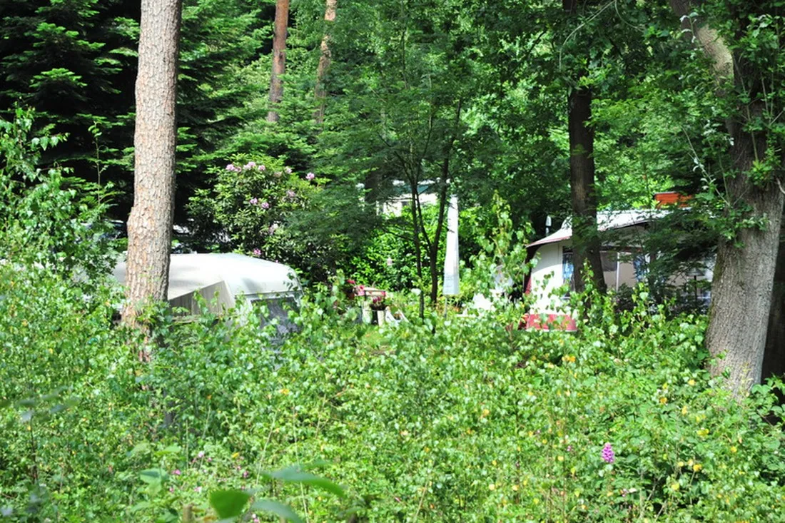 camping-de-rimboe-lunteren-hauqv