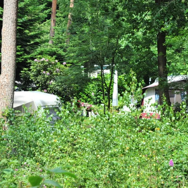 camping-de-rimboe-lunteren-hauqv