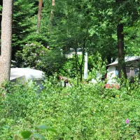 camping-de-rimboe-lunteren-hauqv