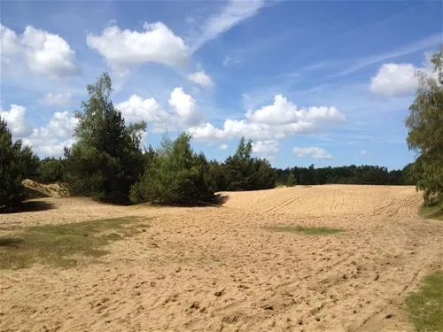 camping-de-rimboe-lunteren-jqkcl