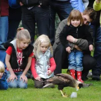 camping-de-rimboe-lunteren-lq8i9