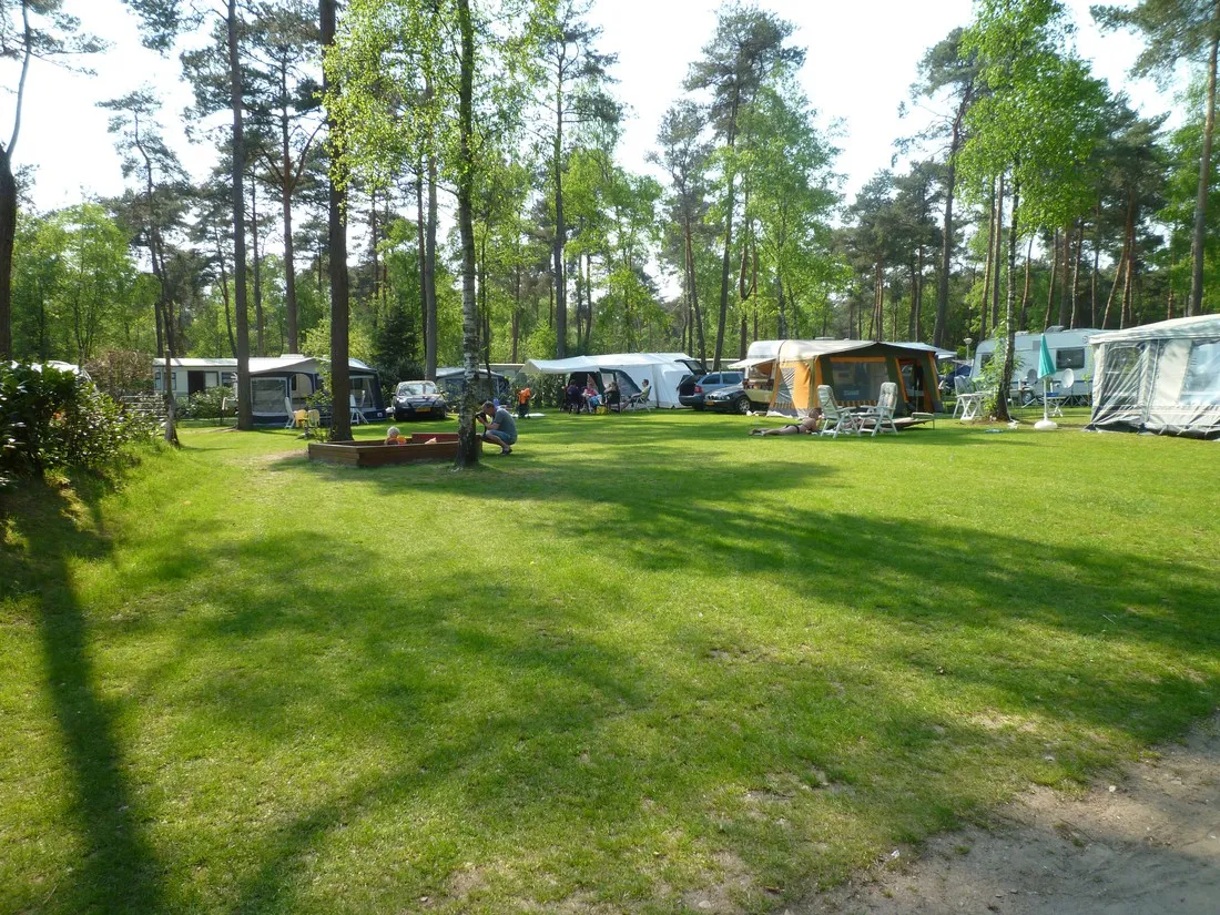 camping-de-rimboe-lunteren-ng6in