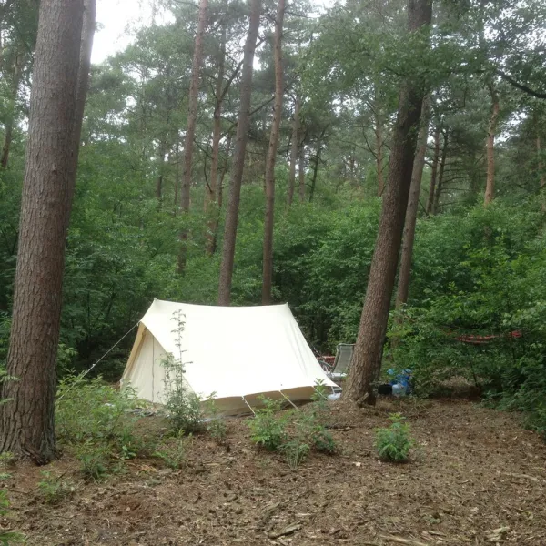 camping-de-rimboe-lunteren-s5xmf