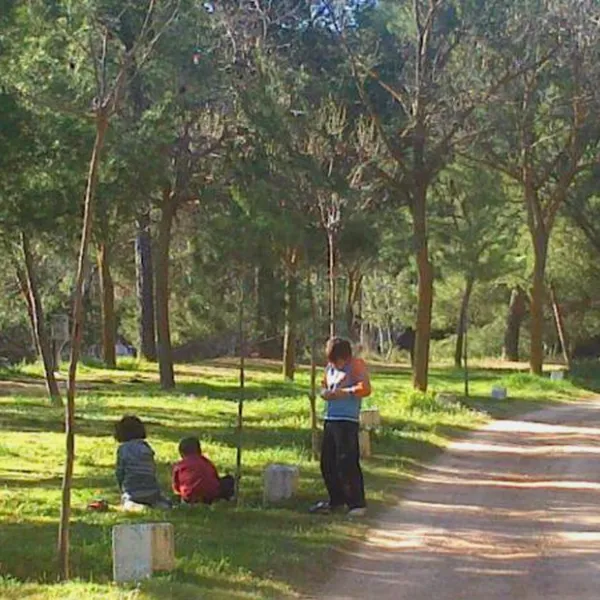 camping-lago-resort-zaragoza-fgi0q