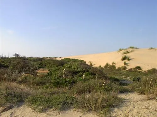 yelloh-village-parc-de-la-cote-sauvage-les-mathes-k0c5u