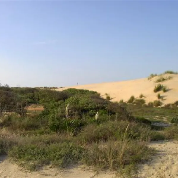 yelloh-village-parc-de-la-cote-sauvage-les-mathes-k0c5u