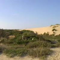 yelloh-village-parc-de-la-cote-sauvage-les-mathes-k0c5u