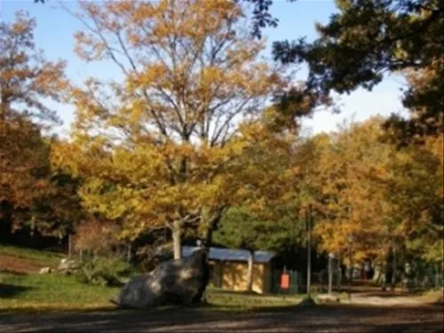 camping-orlando-in-chianti-localit-cafaggiolo-clzi2