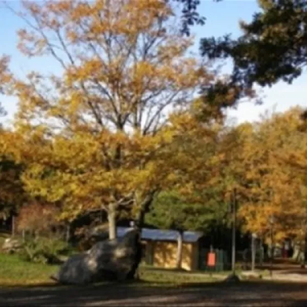 camping-orlando-in-chianti-localit-cafaggiolo-clzi2