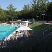 camping-orlando-in-chianti-localit-cafaggiolo-dhzml