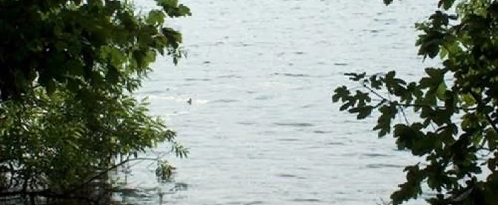 Campingplatz Flakensee (bei Berlin)