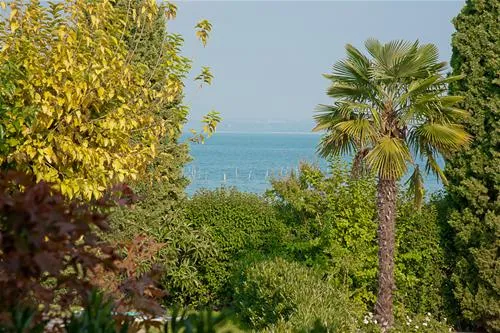 camping-sirmione-sirmione-jsswa
