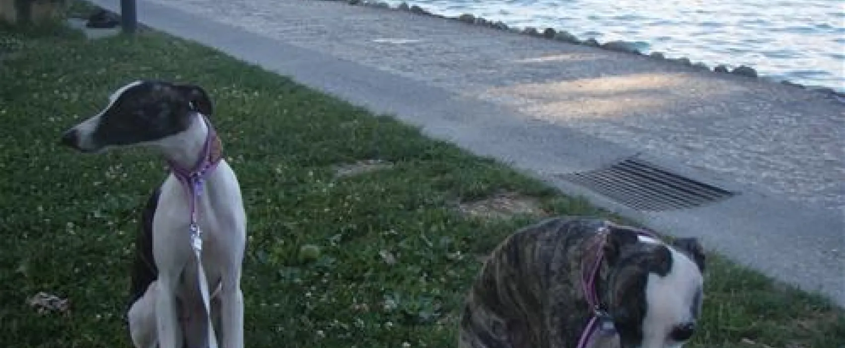 Camping Sirmione