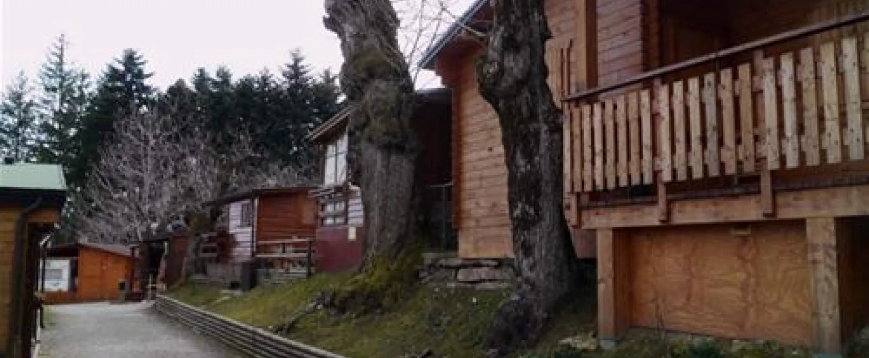 Parco dei Castagni