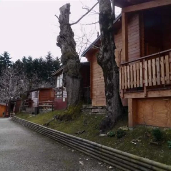 Parco dei Castagni