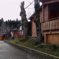 parco-dei-castagni-montecreto-xv57q