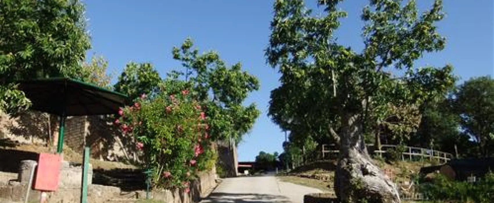 Camping Lucherino