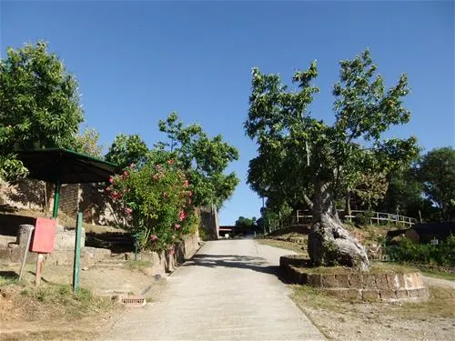 camping-lucherino-monticello-amiata-dcjru