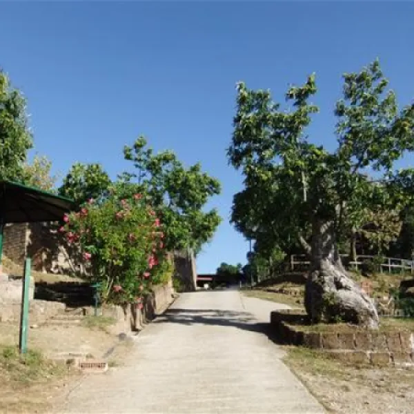 camping-lucherino-monticello-amiata-dcjru