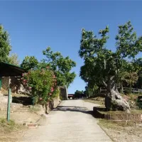 camping-lucherino-monticello-amiata-dcjru