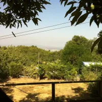 camping-lucherino-monticello-amiata-dlyjg
