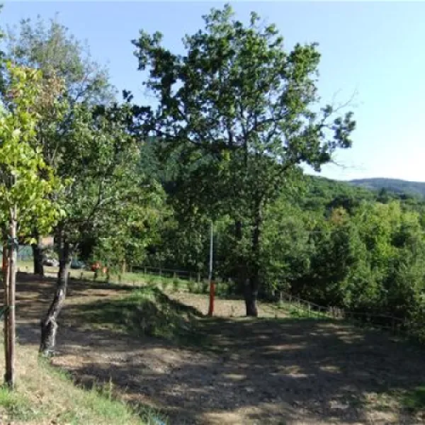 camping-lucherino-monticello-amiata-ufyq4